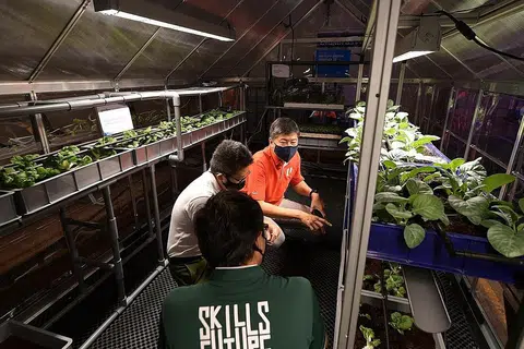 RUANG BARU: Encik David Tan (di tengah), CEO dan pengasas Netatech bersama Encik Ng (berbaju merah) bersama Dr Michael Fung Timbalan Ketua Eksekutif SkillsFuture Singapura(SSG) melihat pameran agritech di rumah hijau di Agritech Lab @ Benoi semalam. - Foto BH oleh NG SOR LUAN