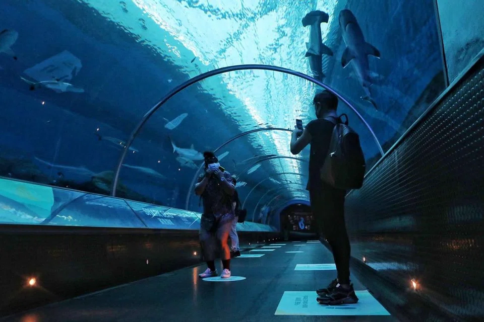 PILIHAN MENARIK: Dari permainan kanak-kanak Sesame Street hingga ke rollercoaster mengecutkan perut, Universal Studios Singapore mempunyai permainan yang sesuai bagi semua lapisan umur, dari kanak-kanak hingga dewasa. Jika anda mahu membawa keluarga anda 'selami' dunia bawah air, anda boleh kunjungi S.E.A. Aquarium yang menempatkan lebih daripada 100,000 binatang marin. Ia tentunya suatu pengalaman yang bukan hanya menarik, bahkan memperkayakan bagi anak-anak anda. - Foto BM oleh JOEL CHAN
