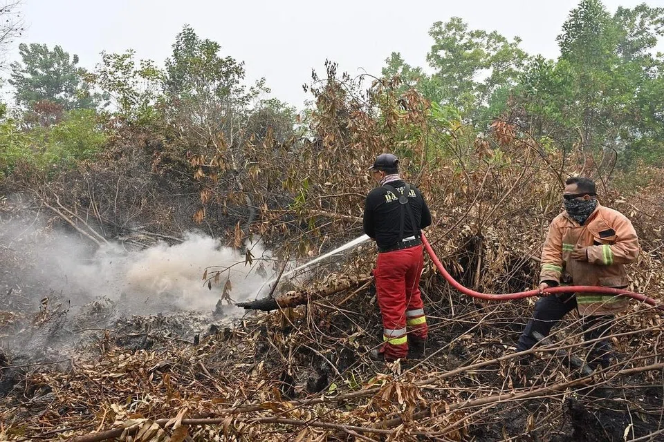 KEBAKARAN HUTAN BERTERUSAN: Ahli bomba sedang berusaha memadankan kebakaran hutan di Kampar, wilayah Riau. Jumlah kebakaran hutan di Indonesia telah meningkat dengan mendadak. - Foto AFP 