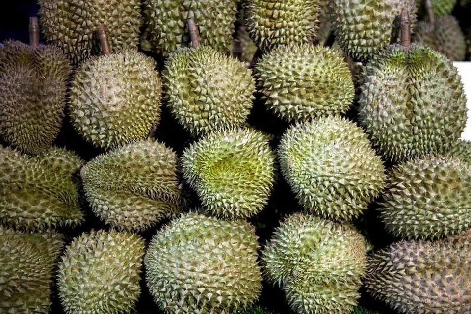 11 individu dituduh memasuki kawasan dikawal di Mandai Road untuk mengambil durian. - Foto Internet
