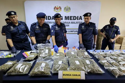 Penolong Ketua Pengarah Kastam Zon Tengah, Dr Ahmad Taufik Sulaiman (tengah), menunjukkan bunga ganja yang dirampas pada sidang media mengenai kejayaan Jabatan Kastam Diraja Malaysia (JKDM) Zon Tengah menumpaskan penyeludupan dadah bernilai RM20.57 juta di Kompleks Kastam Kargo Lapangan Terbang Antarabangsa Kuala Lumpur (KLIA).