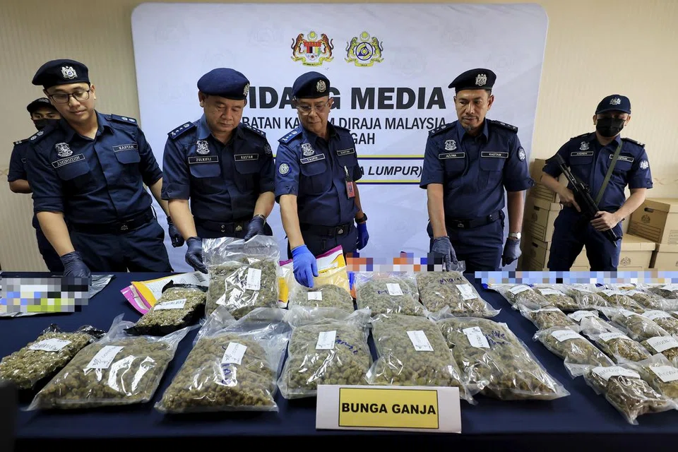 Penolong Ketua Pengarah Kastam Zon Tengah, Dr Ahmad Taufik Sulaiman (tengah), menunjukkan bunga ganja yang dirampas pada sidang media mengenai kejayaan Jabatan Kastam Diraja Malaysia (JKDM) Zon Tengah menumpaskan penyeludupan dadah bernilai RM20.57 juta di Kompleks Kastam Kargo Lapangan Terbang Antarabangsa Kuala Lumpur (KLIA).