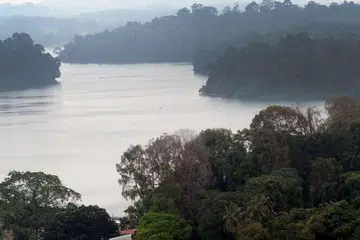 Kolam Air MacRitchie. Fail foto