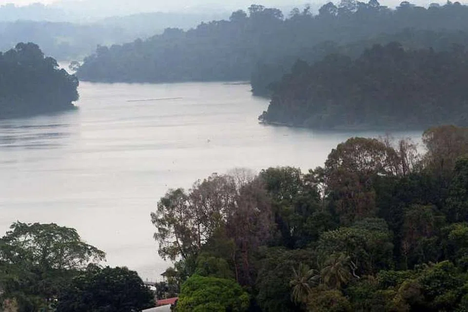 Kolam Air MacRitchie. Fail foto