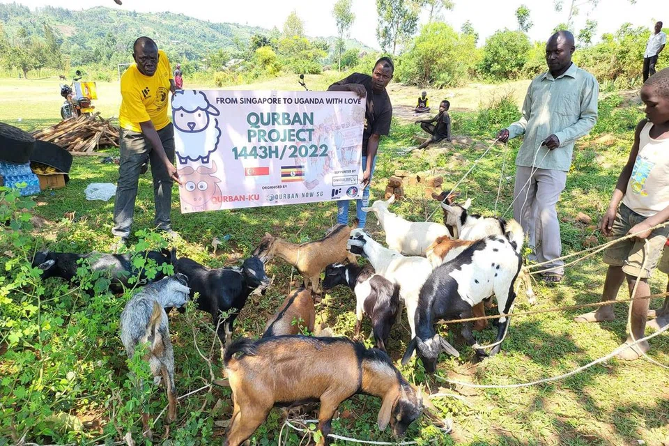KORBAN DI LUAR NEGARA: Kian banyak penyedia khidmat korban yang menjalankan ibadah korban di luar negara, antara termasuk di Uganda seperti yang dikendalikan syarikat QurbanNow SG