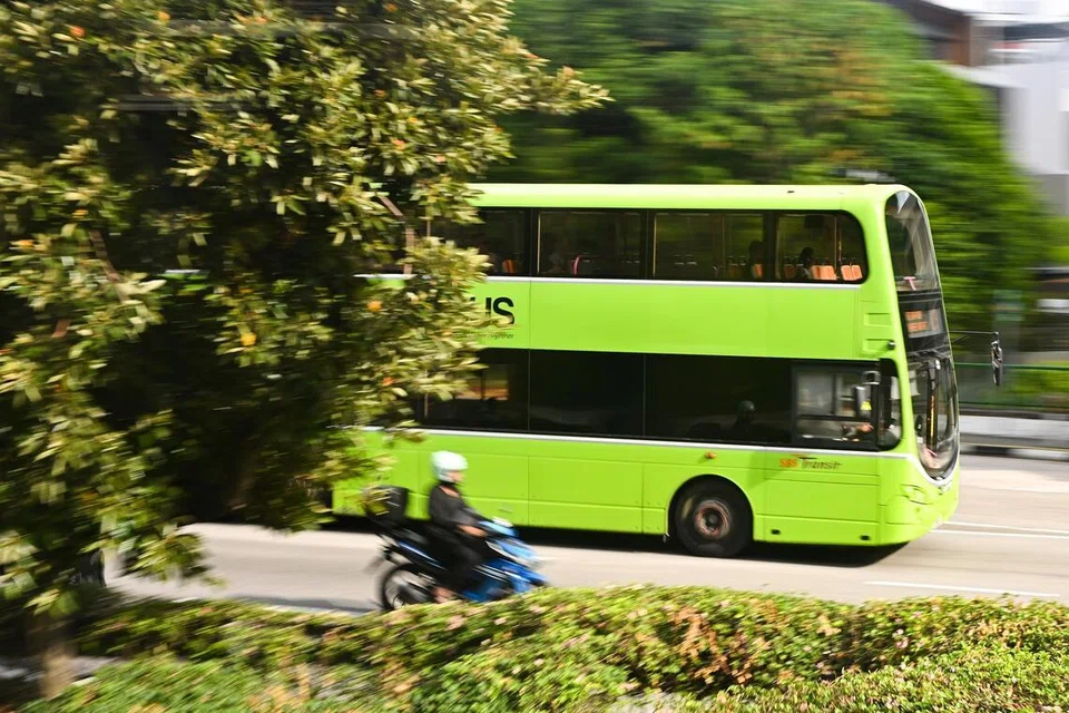 Singapura, khidmat bas, bus service