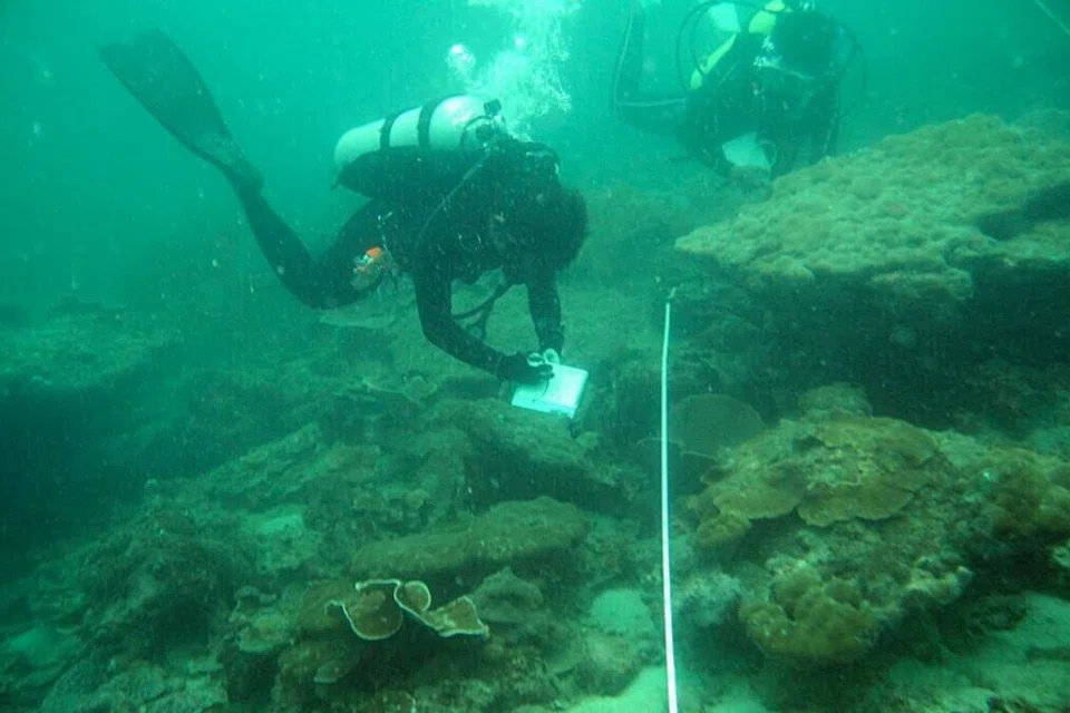 Para penyelidik dari Universiti Nasional Singapura (NUS) menjalankan tinjauan terumbu karang di perairan Singapura.