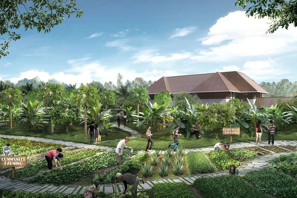 DUSUN BUAH DALAM HAB: Dusun buah dan kebun buat masyarakat ini adalah sebahagian daripada projek hub bersepadu Sembawang. Kebun ini akan ditanam dengan tanaman yang boleh dimakan seperti pokok koko dan roselle. - Foto HAB SUKAN DAN MASYARAKAT SEMBAWANG 