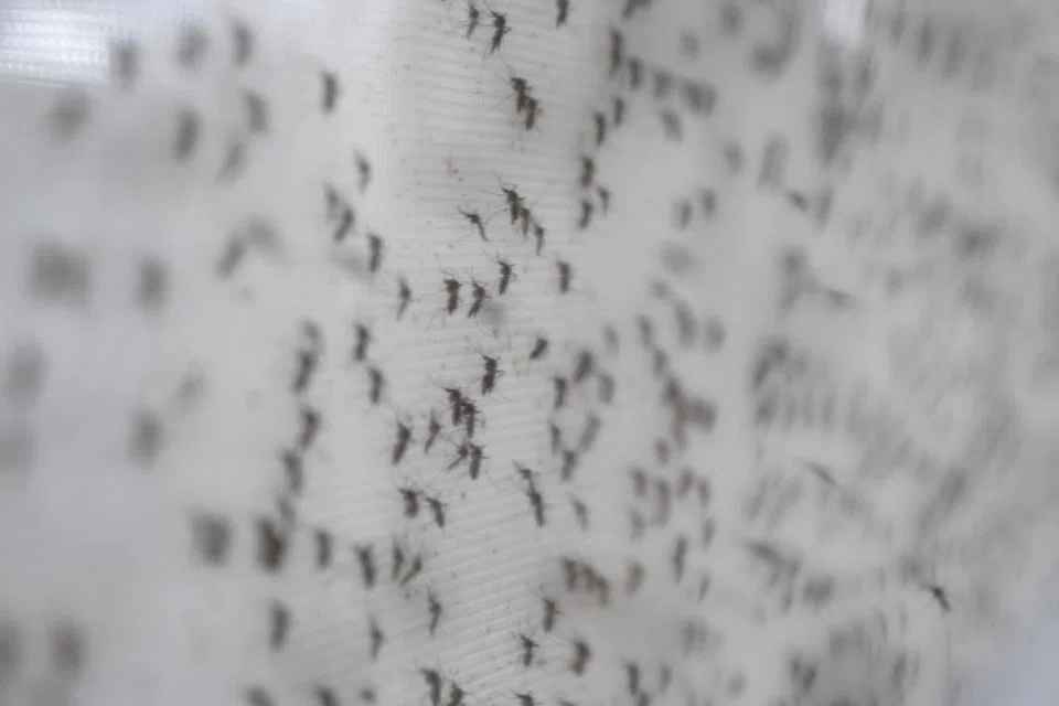 Menurut Kementerian Kesihatan, terdapat satu kes Zika dilaporkan di Boon Lay Place pada Disember 2023 tetapi tiada kes dikesan sejak itu. Pihak berkuasa sedang memantau penularan Zika di kawasan itu selepas dapatan ujian menemui tanda-tanda virus tersebut.