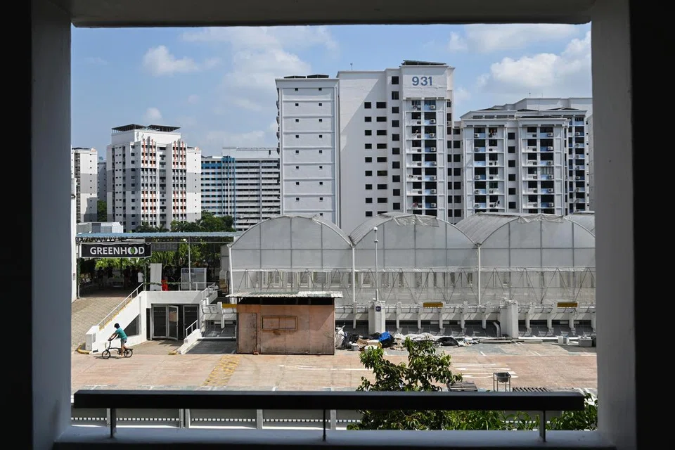 LADANG SAYUR DI BUMBUNG: Sebilangan penduduk dibawa melihat tanaman sayur di ladang tegak Greenhood di bumbung tempat letak kereta Blok 946A Hougang Street 92 (gambar sisipan).  