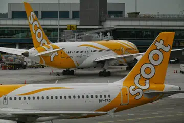 SELUDUP HAIWAN: Pegawai kastam di Lapangan Terbang Antarabangsa Coimbatore, telah menemui haiwan eksotik yang diseludup dari Singapura melalui penerbangan Scoot TR540 dalam tiga bagasi yang tidak dituntut, di bahagian tuntutan bagasi.