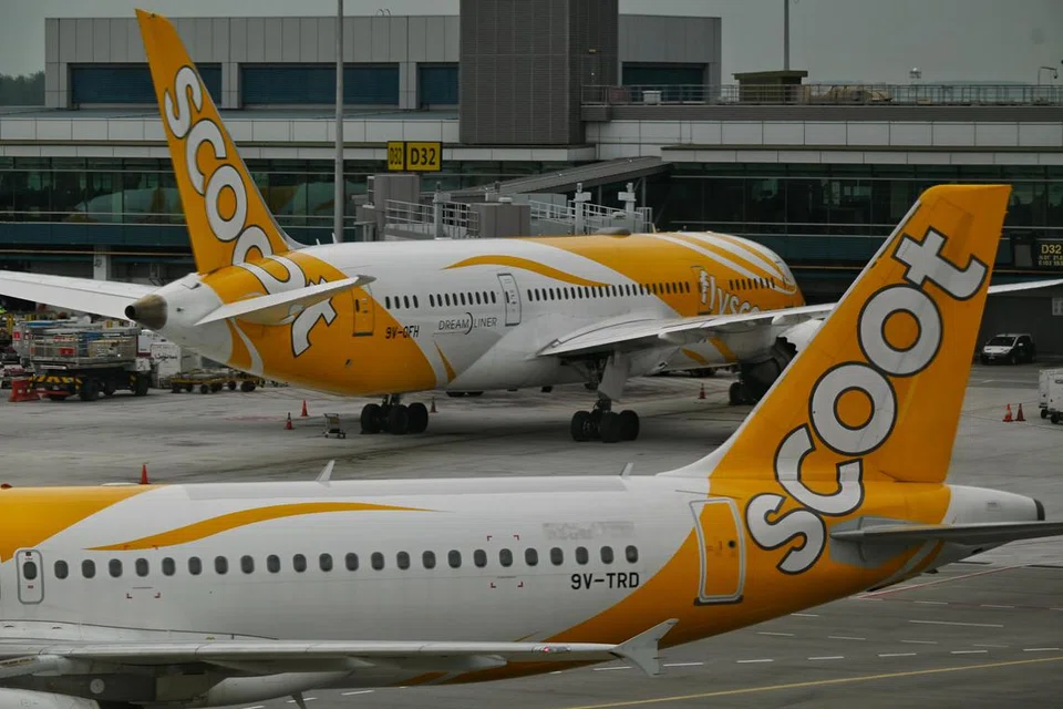 SELUDUP HAIWAN: Pegawai kastam di Lapangan Terbang Antarabangsa Coimbatore, telah menemui haiwan eksotik yang diseludup dari Singapura melalui penerbangan Scoot TR540 dalam tiga bagasi yang tidak dituntut, di bahagian tuntutan bagasi.