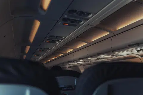 theft in plane, sindiket, changi