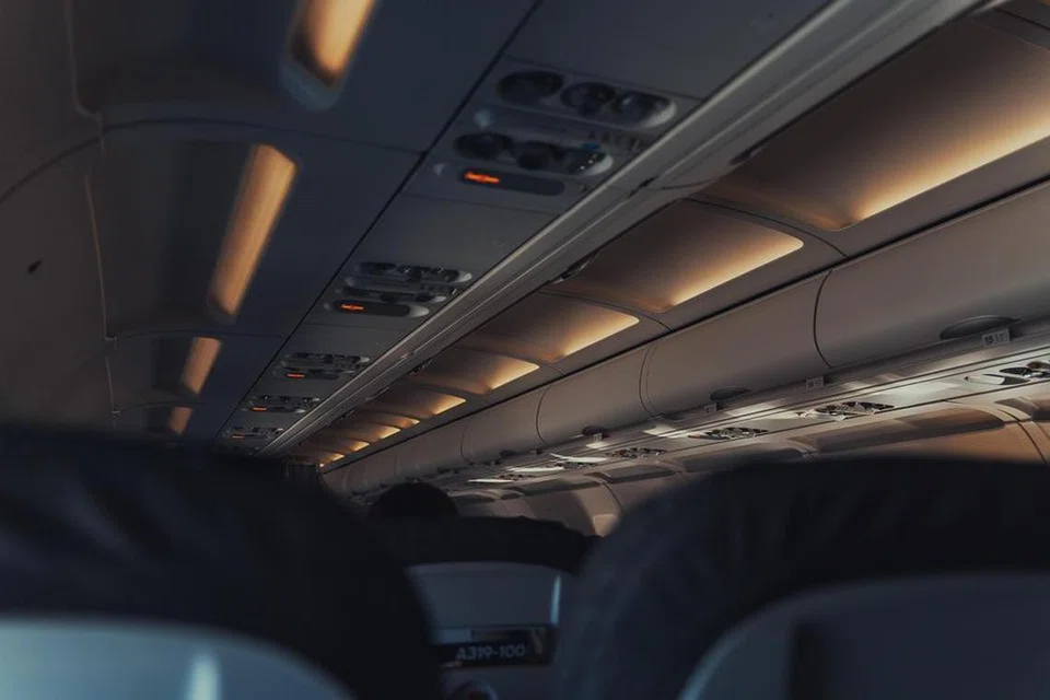 theft in plane, sindiket, changi