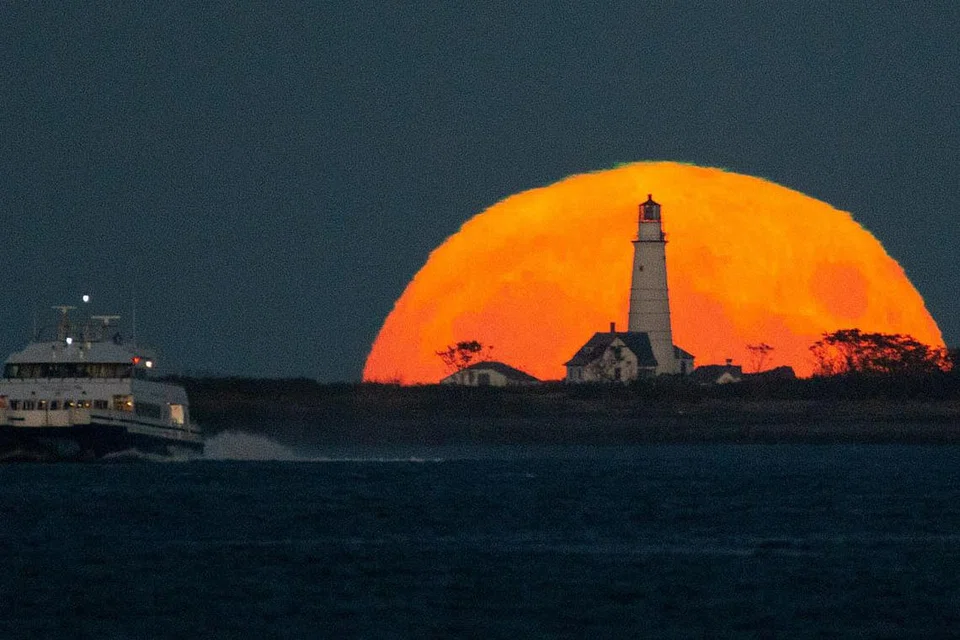 Bintang-bintang nan tinggi. - Foto EPA-EFE