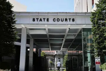 Singapore, molest, Home Team