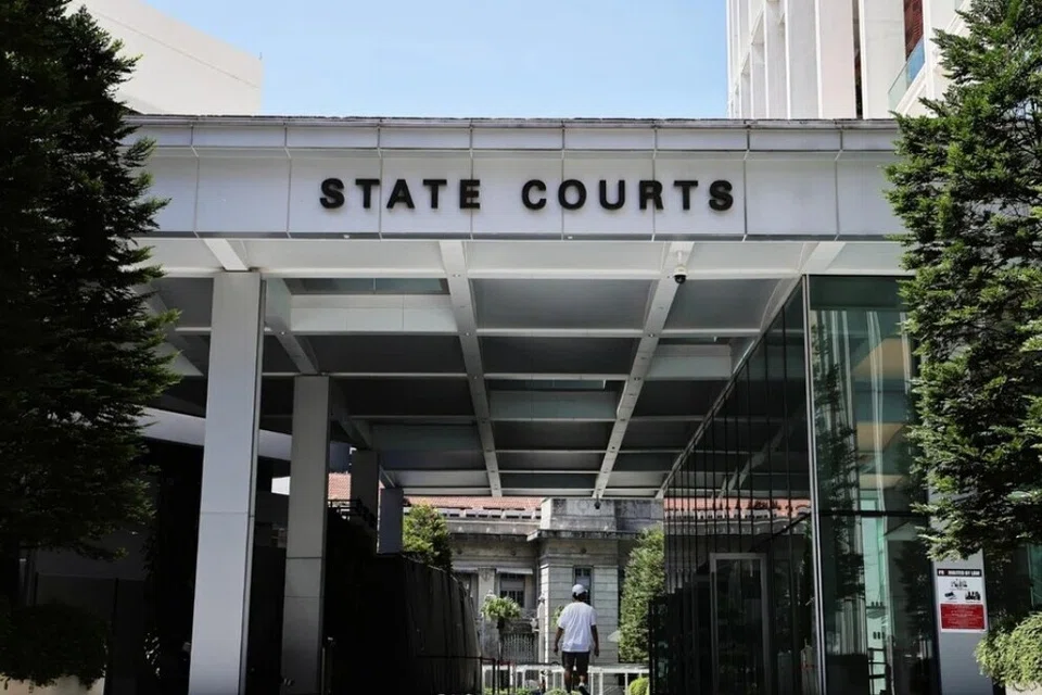 Singapore, molest, Home Team