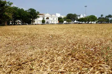 cuaca panas Malaysia, Super El Nino, risiko jerebu