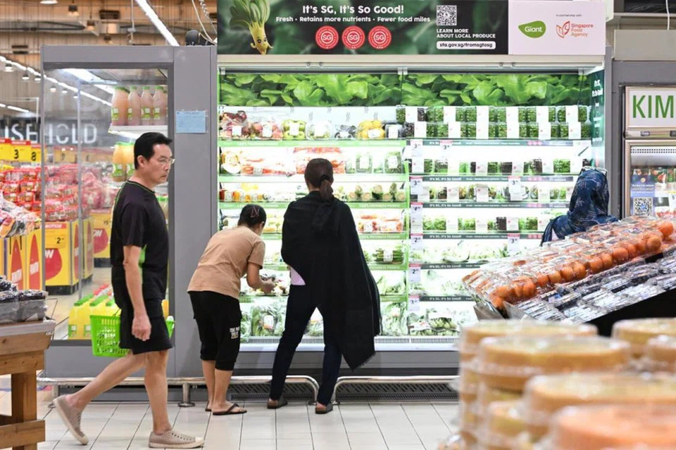 Sayuran tempatan seperti sawi Jepun dan daun salad juga akan dijual di tiga cawangan Giant di bawah daya usaha sama oleh Persekutuan Perniagaan Agro-Makanan Singapura (Safef). 