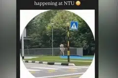 bogel, NTU, kampus 