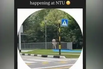 bogel, NTU, kampus 