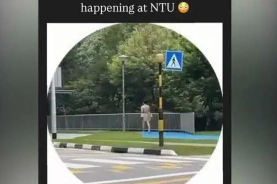 bogel, NTU, kampus 