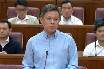 Chan Chun Sing, Defence Minister, Parlimen 