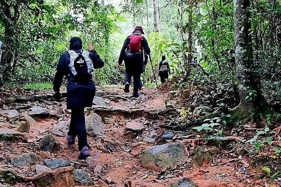 SATU PENDAKIAN: Suasana redup ketika mendaki di Ketam Hill, Pulau Ubin. - Foto GEMS SINGAPORE 