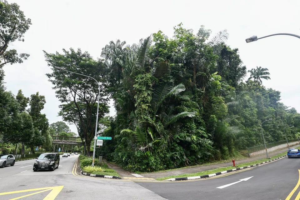 holland road, tyersall park