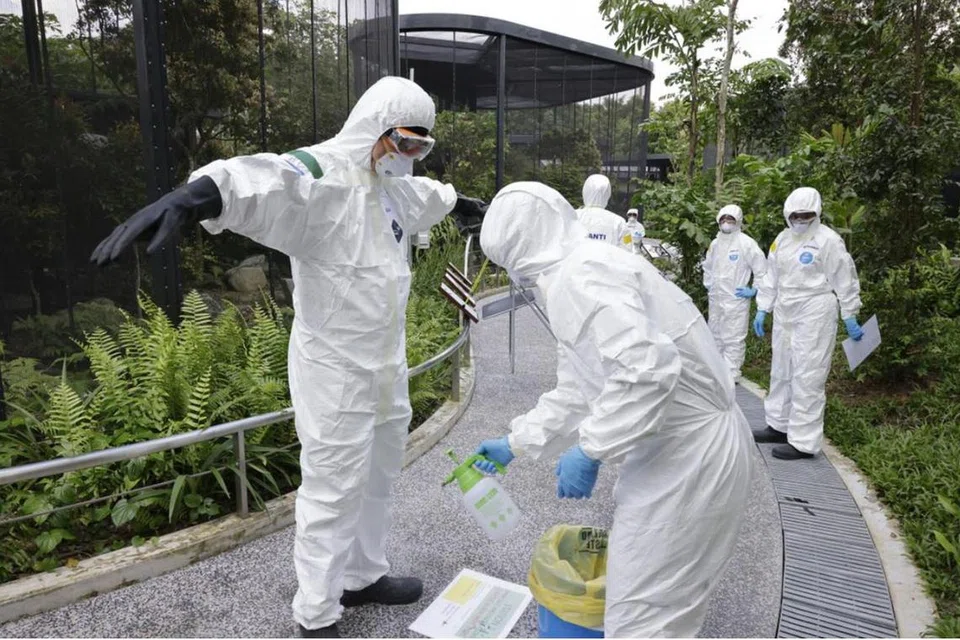 Kakitangan di Bird Paradise membuat simulasi proses pembasmian kuman. Beberapa unsur reka bentuk taman membantu mengurangkan risiko penularan penyakit.