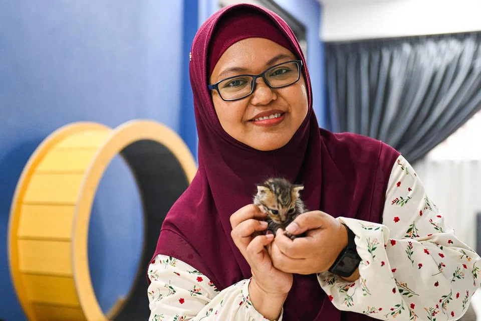 Antara langkah yang diambil Cik Nur Farizah Mat Arsat bagi menjaga kucing yang dibuang termasuk mengukur berat badan mereka setiap hari bagi memastikan ia membesar dengan betul.