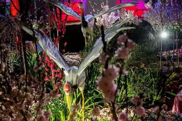 LAMBANG KEINDAHAN JEPUN: Paparan sakura di Gardens By The Bay dimuatnaikkan ke Facebook Perdana Menteri Encik Lee Hsien Loong sebagai lambang negara Jepun tatkala berkongsi inti panggilan telefonnya kepada Perdana Menteri Jepun, Encik Yoshihide Suga. - Foto petikan ENCIK LEE HSIEN LOONG/FACEBOOK LEE HSIEN LOONG