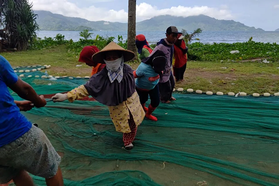 Nelayan di pantai Cengkrong di Kabupaten Trenggalek, Jawa Timur, Indonesia, menarik jaring untuk menangkap ikan selayur. Kegiatan perlombongan emas boleh memusnahkan hutan yang menjadi tumpuan penduduk kampung Trenggalek dan mencemarkan laut bagi nelayannya.