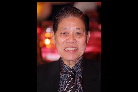 Goh Cheng Liang, Nippon Paint Holdings