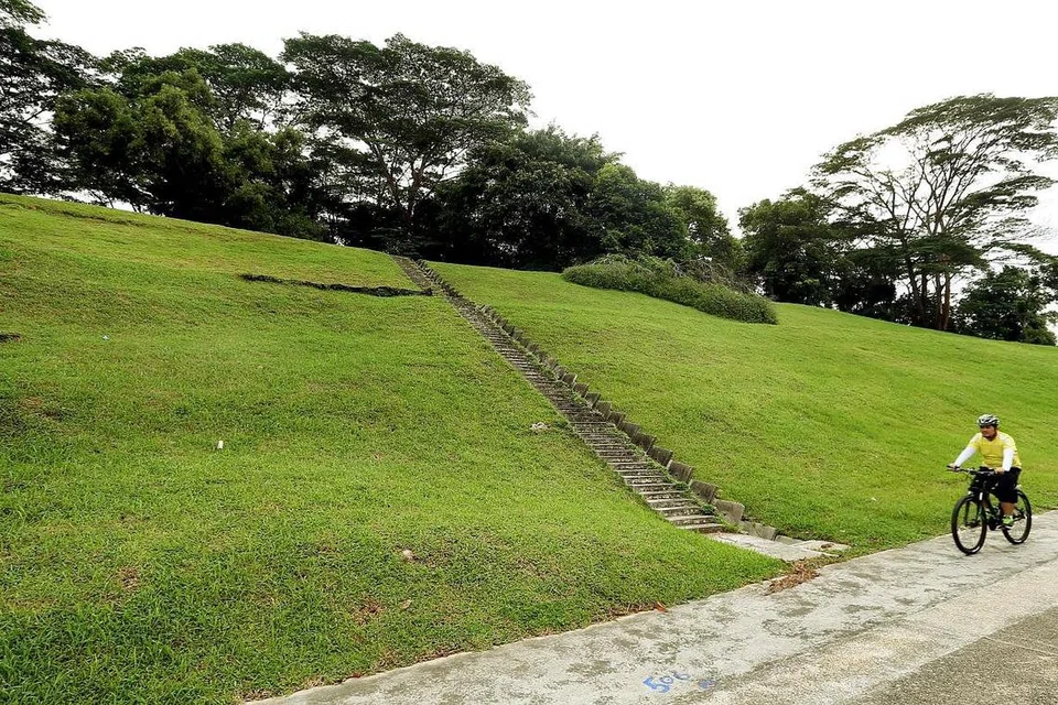 KEHIJAUAN DIKEKALKAN: HDB berkata anak bukit di Woodleigh Glen akan menjadi sebahagian rangkaian kehijauan dan ruang terbuka lebih luas yang dirancang bagi estet Bidadari. - Foto THE STRAITS TIMES