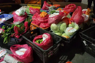 TERLARANG: JQA Pte Ltd telah mengimport secara terlarang kira-kira 362.4 kilogram sayur dan buah segar yang tidak diisytihar atau jumlah yang diisytihar kurang daripada yang sebenarnya dalam konsainan yang diimport dari Malaysia.