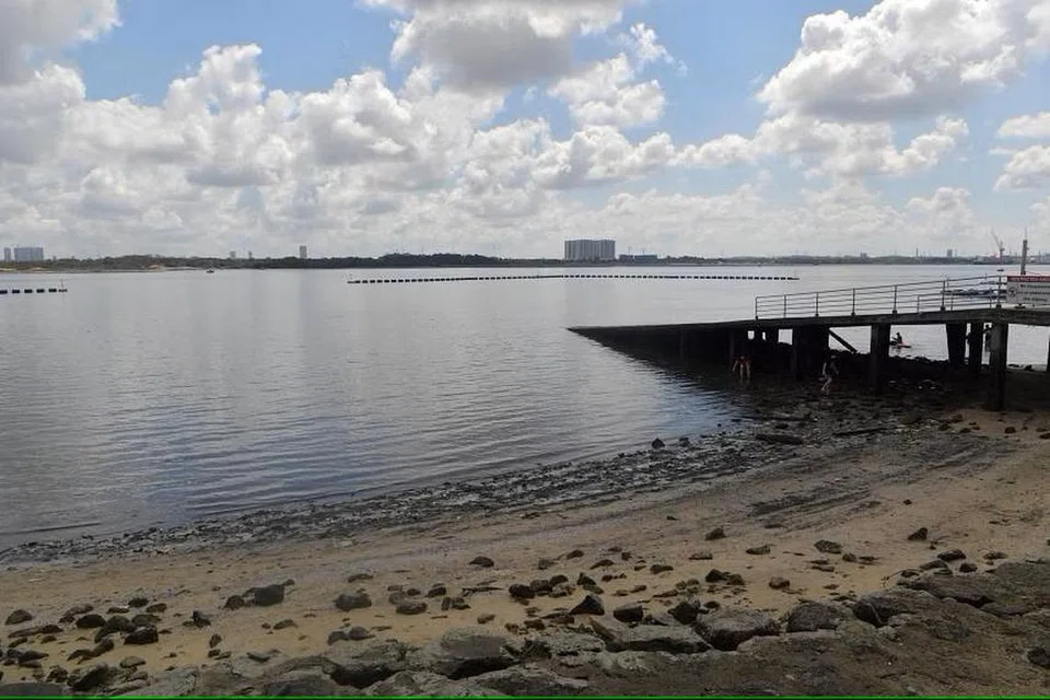 NEA menasihatkan pengunjung pantai supaya tidak berenang di pantai Pasir Ris dan Sembawang Park (gambar) kerana paras bakteria Enterococcus yang tinggi.