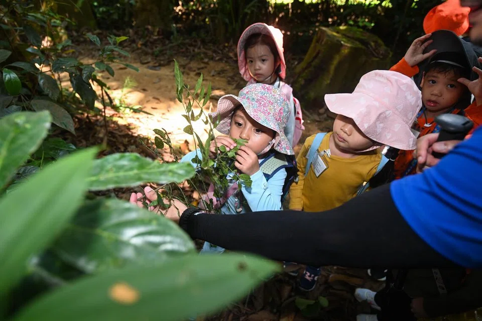 My First Skool, Outdoor Learning, Outdoor School Singapore (OSS), NTUC First Campus