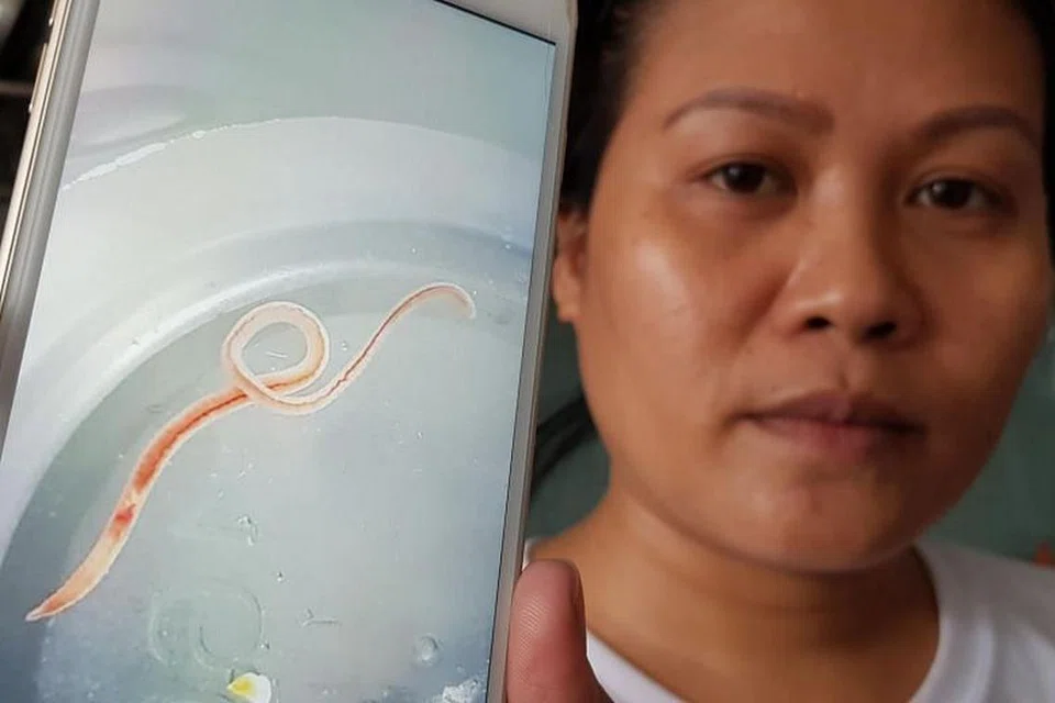 PUB berkata cacing tidak mungkin ada dalam air paip. Foto: SHIN MIN DAILY