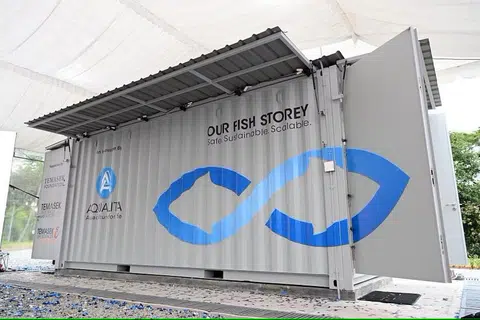 TERNAK IKAN DALAM BANDAR:  Ladang untuk menternak ikan dalam kontena yang pertama di Singapura yang dilancarkan di Tampines Street 11 merupakan sebahagian daripada inisiatif untuk menyokong penternak bandar setempat dan membantu negara mencapai matlamat makanan ‘30 menjelang 30’, iaitu memenuhi 30 peratus keperluan makanan dengan pengeluaran setempat menjelang 2030.