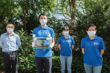 KEBUN BIJAK: Para penyelidik dari Universiti Nasional Singapura (NUS) telah mencipta alat prototaip dikenali sebagai SmartFarm. Ia merupakan sejenis sistem berkebun lengkap yang menggunakan hidrogel sebagai teknologi utamanya. - Foto NUS