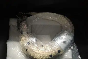 TINDAKAN DIAMBIL: Prosiding sedang dimulakan terhadap lelaki pemilik bagasi yang mempunyai seekor aligator albino hidup yang dibalut dengan plastik pembalut di Lapangan Terbang Munich. Dia dalam perjalanan ke Singapura. - Foto PEJABAT UTAMA KASTAM MUNICH