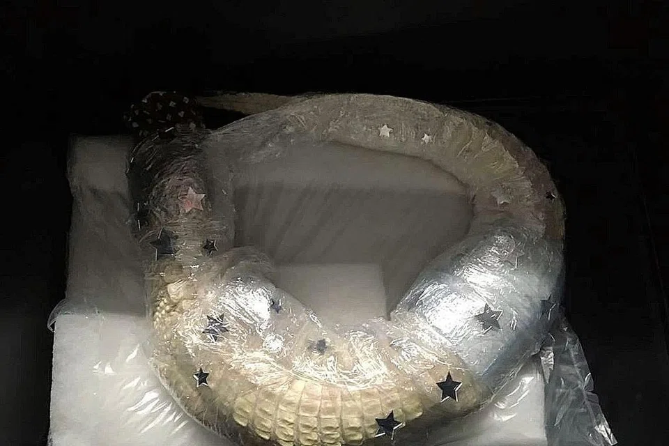 TINDAKAN DIAMBIL: Prosiding sedang dimulakan terhadap lelaki pemilik bagasi yang mempunyai seekor aligator albino hidup yang dibalut dengan plastik pembalut di Lapangan Terbang Munich. Dia dalam perjalanan ke Singapura. - Foto PEJABAT UTAMA KASTAM MUNICH