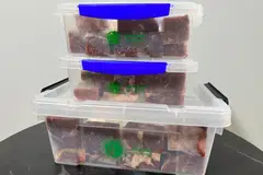 Daging korban dipek dalam bekas plastik yang utuh dan rapi .