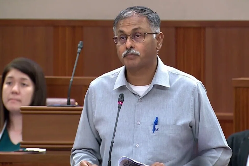 Murali Pillai, parliament