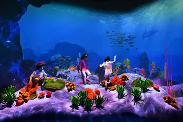 Tarikan alam semula jadi baru di Mandai Wildlife Reserve, ‘Curiosity Cove’, menyediakan empat zon bertema alam semula jadi yang diilhamkan oleh ekosistem dunia sebenar. Ia termasuk zon, ‘Wetlands’, yang membolehkan mereka menyentuh ‘terumbu karang’ yang hidup dengan bunyi dan gerakan.