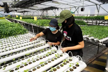 LADANG BERSIH DAN MESRA ALAM: Ladang ComCrop adalah satu contoh ladang bandar yang sedang berusaha untuk memenuhi piawaian kebersihan dan mesra alam yang ditetapkan. - Foto ENTERPRISE SINGAPORE (ESG)