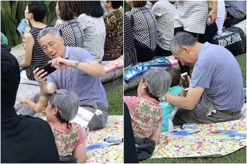 Gambar PM Lee Hsien Loong bersama keluarga di Kebun Bunga jadi tular