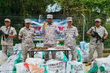Pengarah Zon Maritim Kudat, Agensi Penguatkuasaan Maritim Malaysia, Komander Maritim Maurice Grenville Abeyeratne (tengah), menunjukkan daging penyu dan balat (hidupan laut spesies gamat) yang dikeringkan dan cuba diseludup ke negara luar dalam rampasan di perairan Kampung Tajau Laut, Kudat, Sabah.
