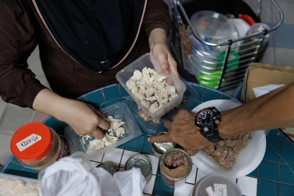 Setiap hari selepas enam petang, Cik Fudziah merebus dan menghiris kira-kira dua kilogram dada ayam sebagai makanan tambahan untuk kucing masyarakat di kawasan perumahannya.